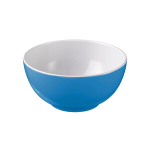 Spectrum bowl - blue