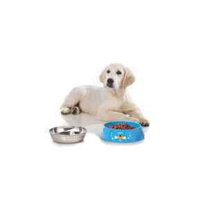 Hungry XL dog bowl