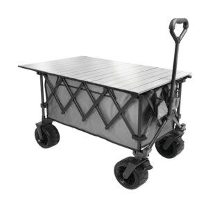 Cargo Beach trolley