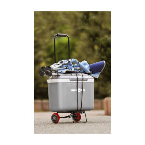 Pick up trolley